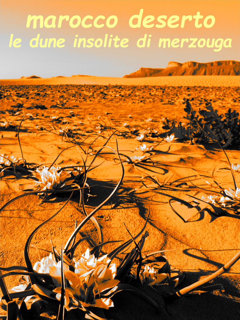 Marocco Deserto: le dune insolite di Merzouga - yallaz turismo responsabile