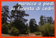 yallaz turismo responsabile