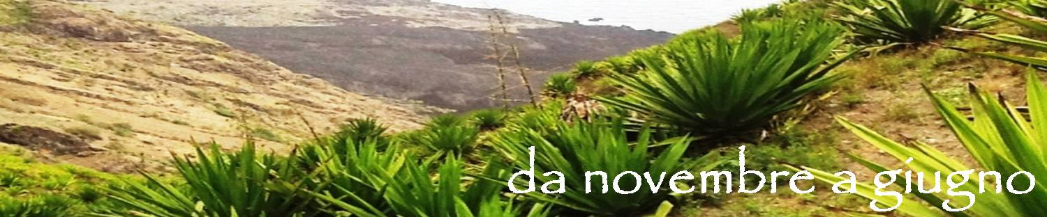yallaz turismo responsabile