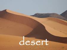 yallaz responsible tourism