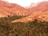Marocco Oasi del Sud - yallaz turismo responsabile