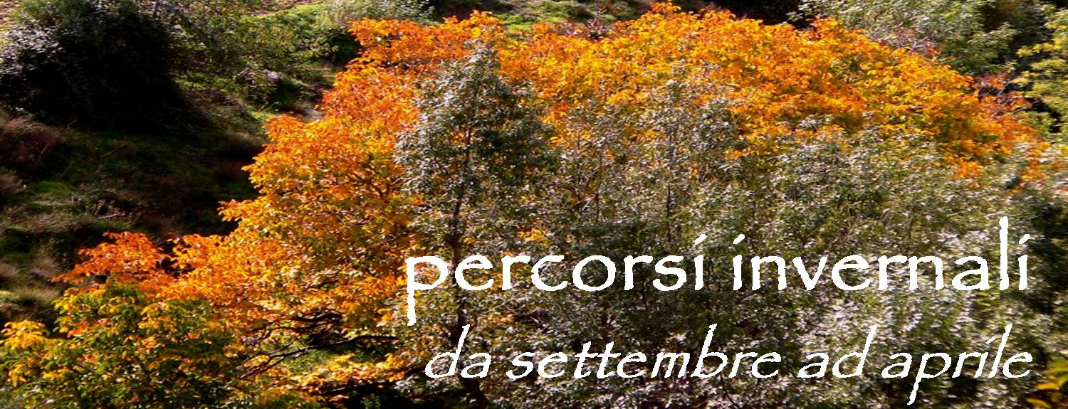 yallaz turismo responsabile