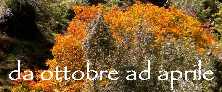 yallaz turismo responsabile