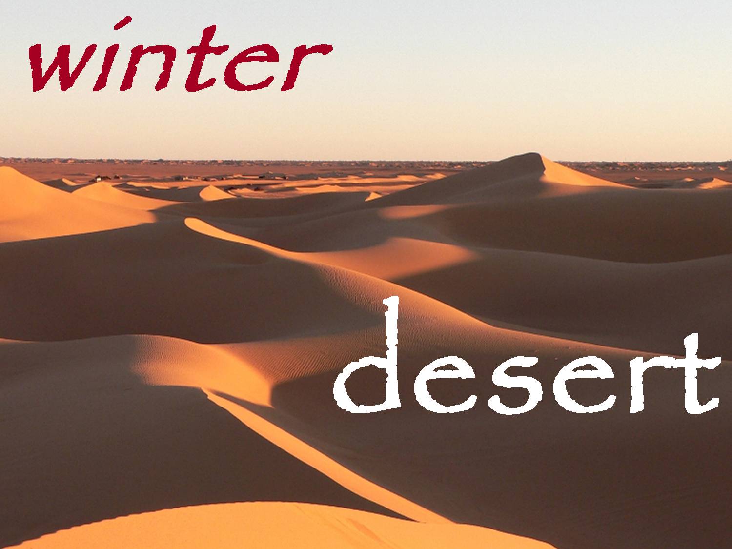 yallaz responsible tourism