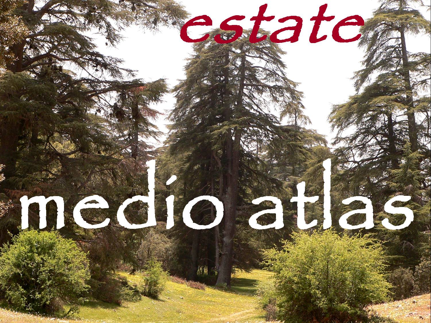 yallaz turismo responsabile